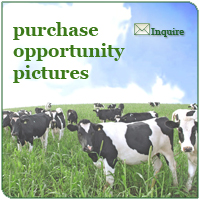 Purchase Opportunity Pictures